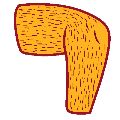 a stylized drawing of a leg facing the left with hair.